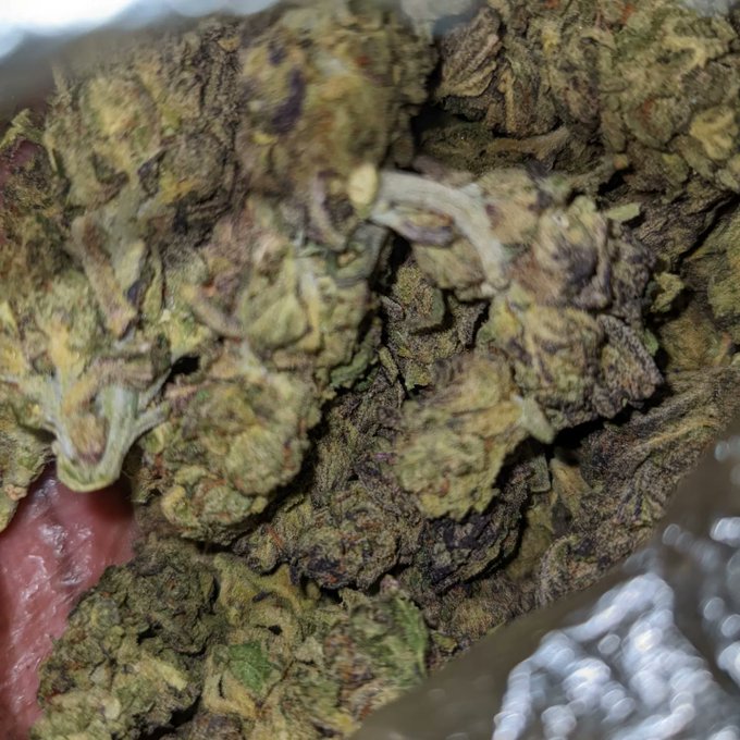 candyland https://t.co/GXe7k1kXfR