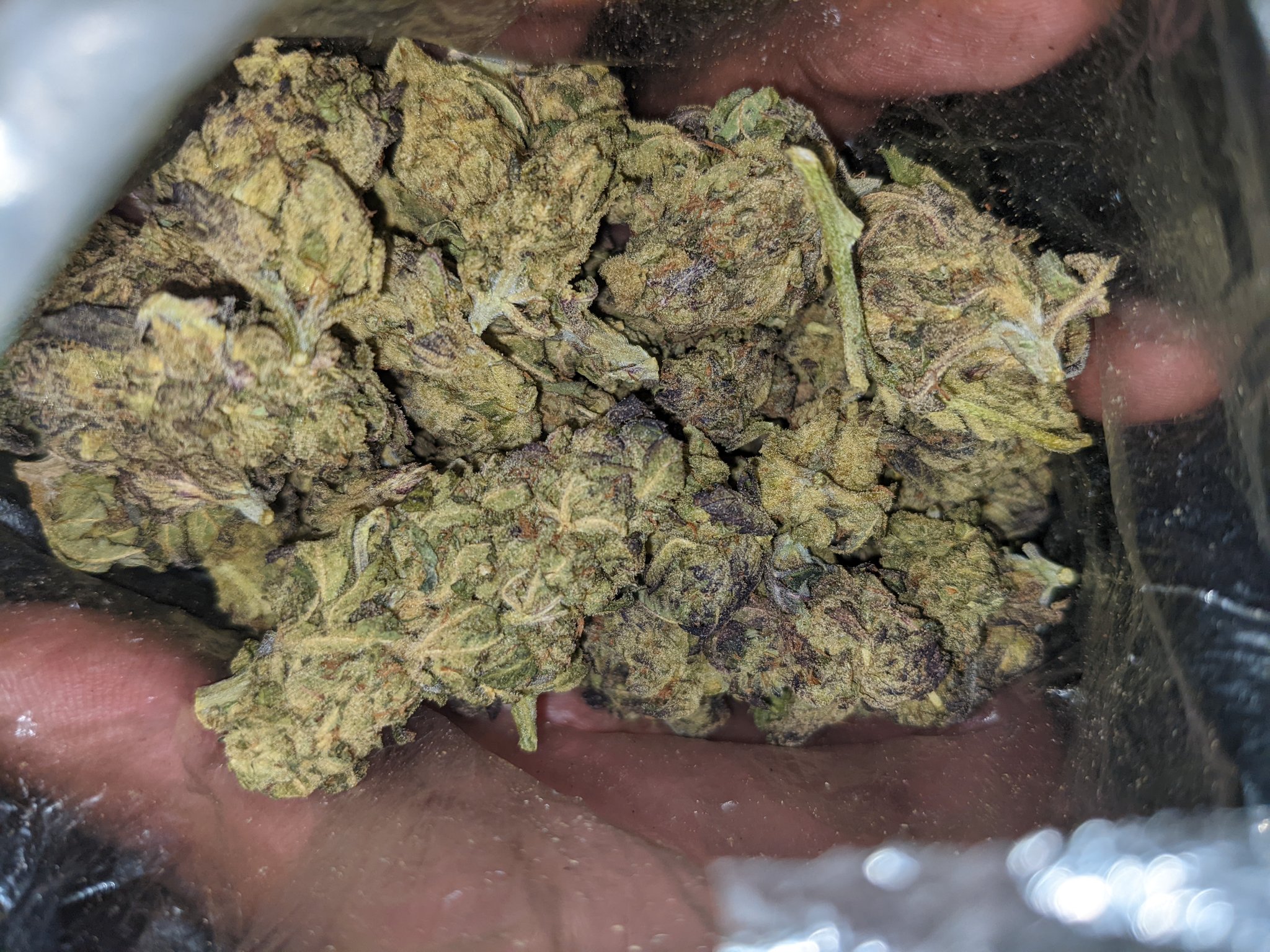 purple dream https://t.co/u5r9TfkIMz