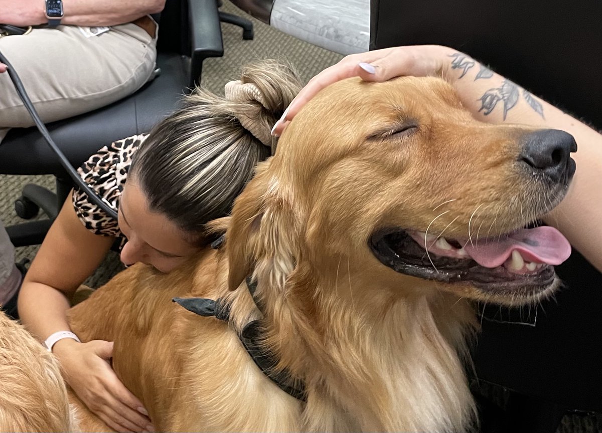LegacyTreatment's tweet photo. Support dogs from the Tri-State Canine Response Team paid a visit to Legacy affiliate Community Treatment Solutions this week! https://t.co/ixehY0PffY