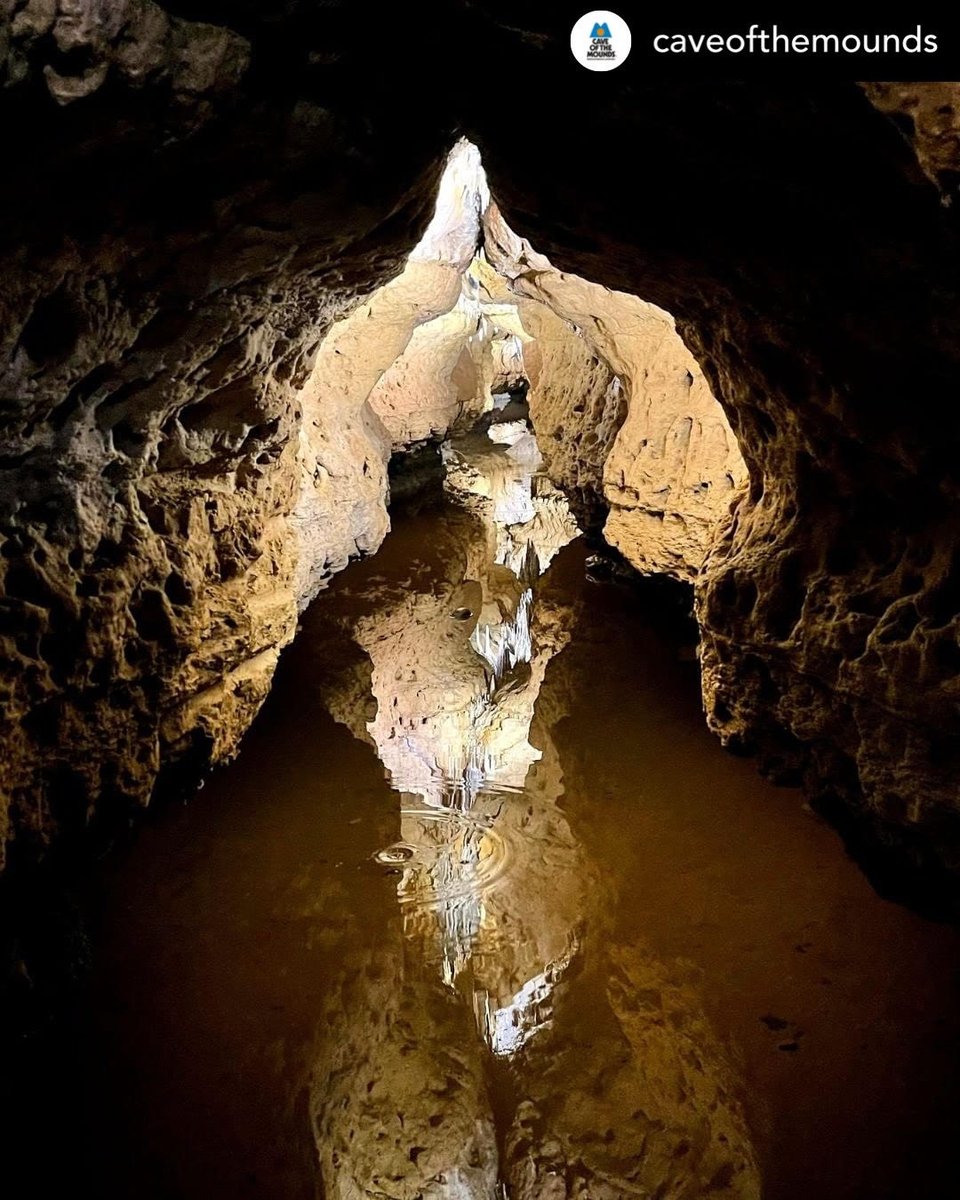 WI_NatureNet's tweet photo. Featured Nature Net Member: Cave of the Mounds! @caveofthemounds The cave was discovered 83 years ago this month, and today it's a National Natural Landmark! See the cave and above ground trails for yourself: https://t.co/bKs6N7W3hn

#CaveOfTheMounds #NatureNetMember #NatureNet https://t.co/p9OFMRcOTU
