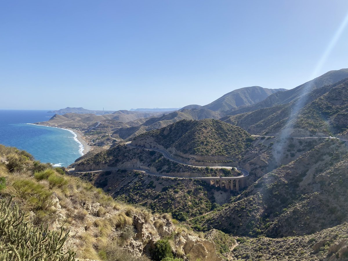 Daniel Andaluz tweet media