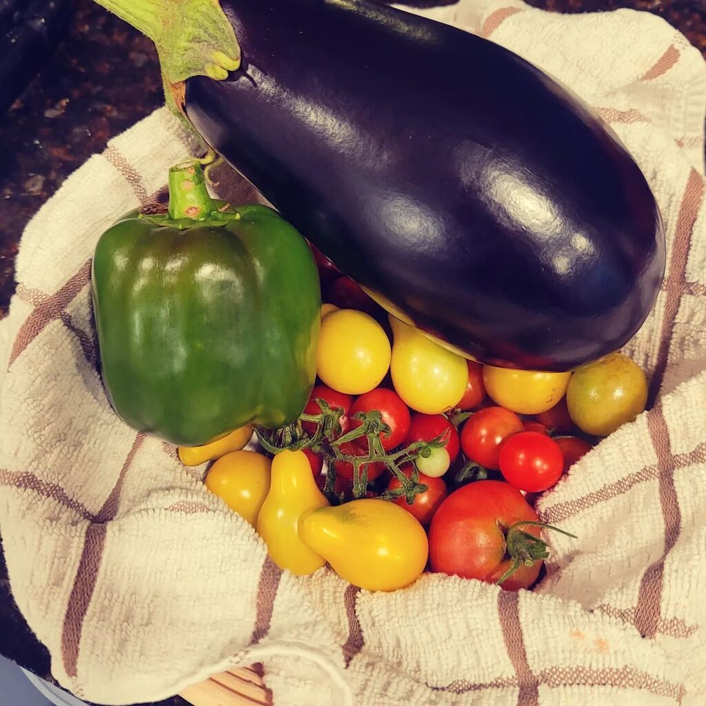 HiRezBarrett's tweet photo. Thank you little garden 🌿🌱 https://t.co/Ij332M6BaX https://t.co/2bgS87924W