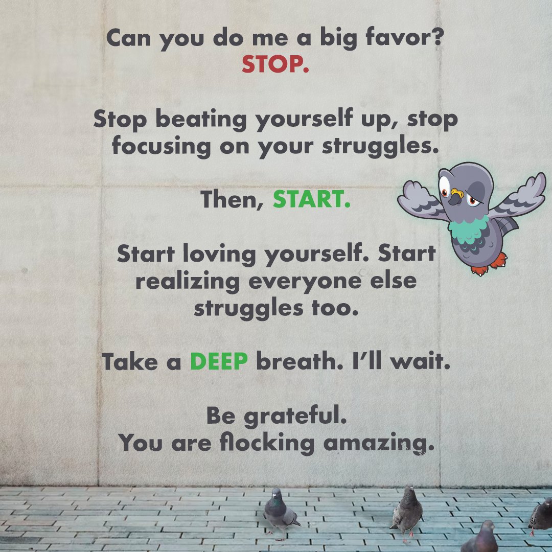 VeeFriends (@veefriends) on Twitter photo 