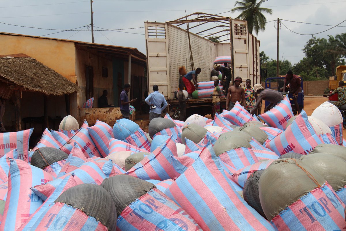 PNUDBenin's tweet photo. Le #PDAB a appuyé la mise en place de 5 clusters agricoles au niveau de l'#ATDA pôle 6 à l’élaboration de leur plan d’actions dont la coopérative Iretinbè, spécialisée dans la transformation du manioc en gari. Visite du site de vente groupée des produits. https://t.co/01gb06e1Db