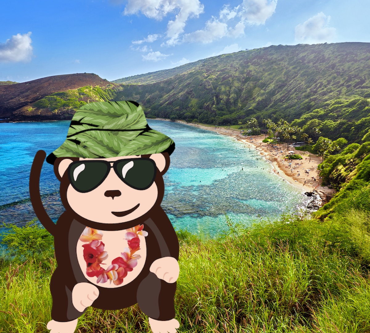 ShopMonkeyFresh's tweet photo. #JoeMonkey visits #HanaumaBayStatePark
So much #fun #snorkeling out the #channel to the #Outer #Reef where I got to see surgeonfish, #turtles and even a few #Humpback #whales
#Oahu #Hawaii #vacation #islandlife #monkeyfresh #AlohaFriday #aloha #travelwithme #travelblog https://t.co/b8Ir7xL3zF