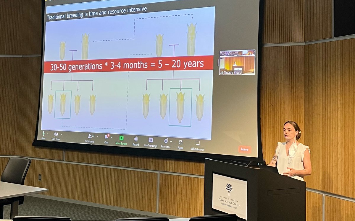 SonaPandey Lab (@sonapandeylab) on Twitter photo Tired of screening for knock-in lines? Caroline Henry from @WUSTL presents her work on developing an elegant method to identify knock-in plants. Mentored by Ryan DelPercio <a href="/MeyerLab/">Meyer Lab</a> <a href="/DanforthCenter/">Danforth Center</a> <a href="/NSF/">U.S. National Science Foundation</a> Tired of screening for knock-in lines? Caroline Henry from @WUSTL presents her work on developing an elegant method to identify knock-in plants. Mentored by Ryan DelPercio <a href="/MeyerLab/">Meyer Lab</a> <a href="/DanforthCenter/">Danforth Center</a> <a href="/NSF/">U.S. National Science Foundation</a>