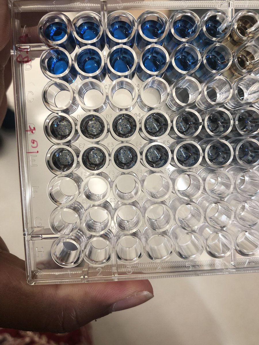 Reina Desrouleaux tweet media