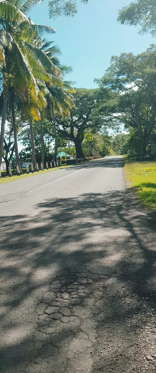 679Billy's tweet photo. Happy Sabbath! 
Sometimes its just nice to walk and count them blessigs 1 by 1 https://t.co/Zf0Z0JmKVm