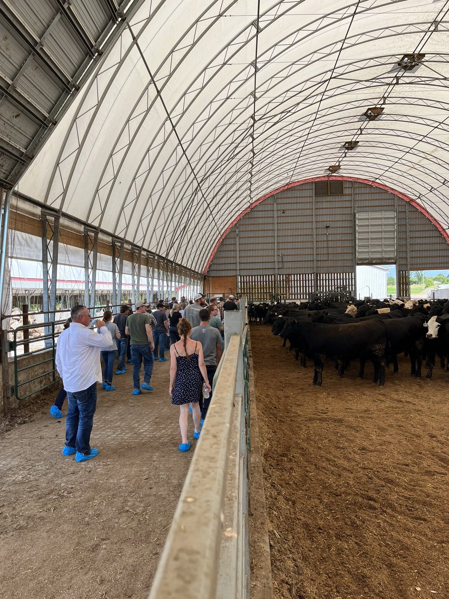 BeefFarmersON's tweet photo. Excited for our next #summertour at Don Echo Cattle Co., with the Palmateer family. #OBYA #ontbeef https://t.co/dgWuiW1umq