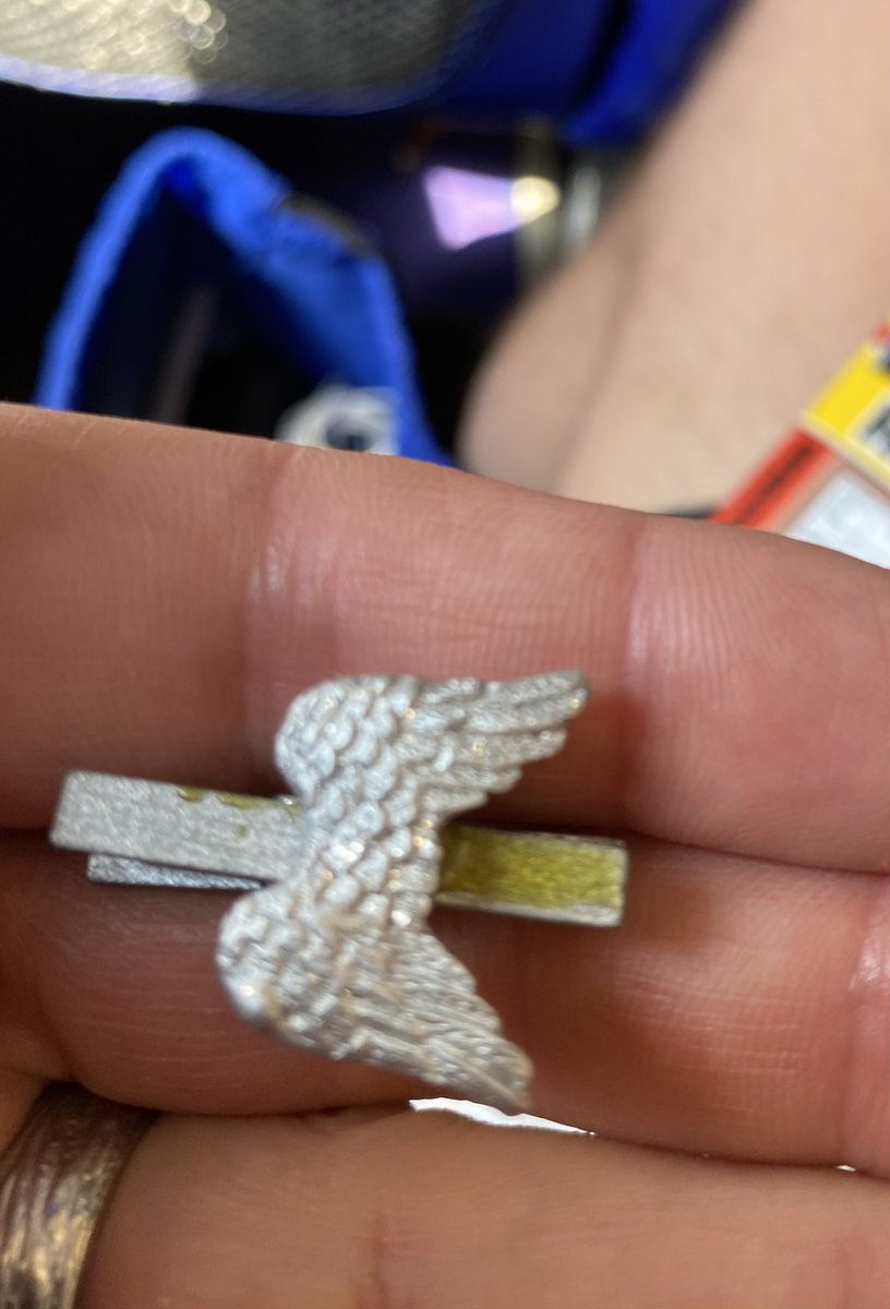 rssrtelb's tweet photo. Mit Flügel fliegen. https://t.co/KN8jDD2imm