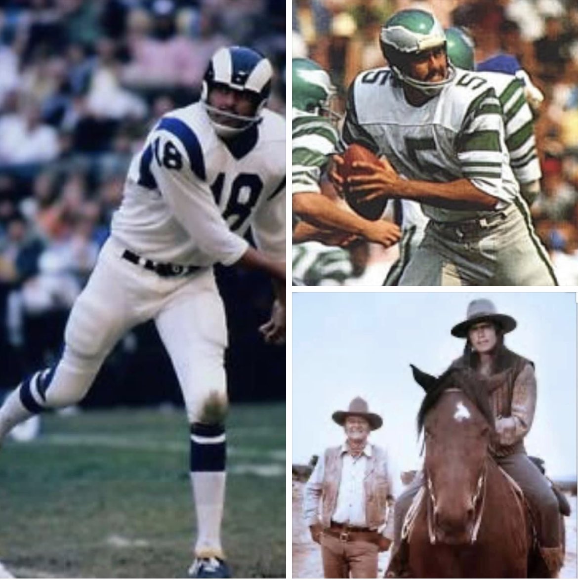 Happy 81st Birthday Roman Gabriel!      