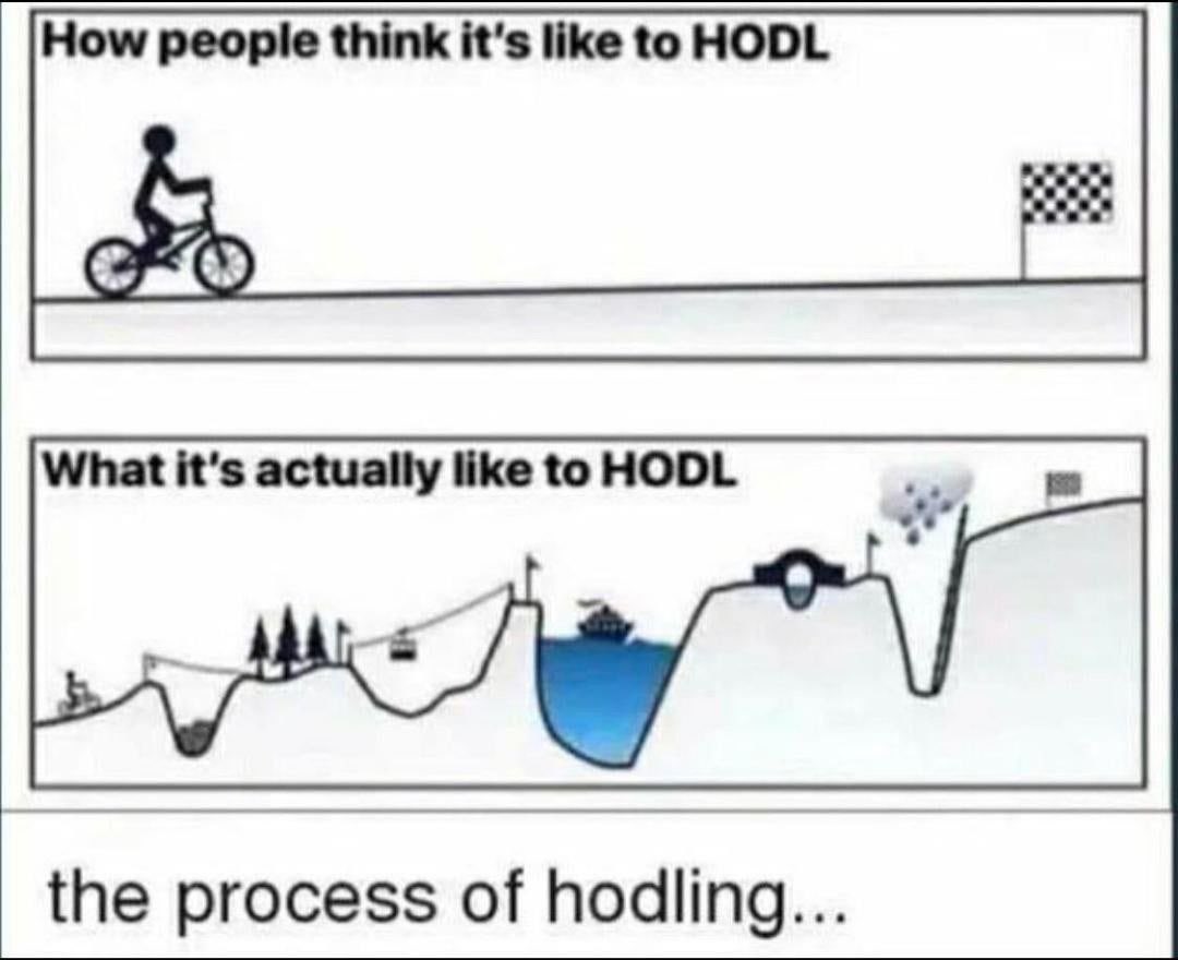 cr4zyg4ins's tweet photo. @bitcertain @kingsimbainu @InuInu_Token @RESET_The_Past $RESET #RESETMINDSET LEARNING JEETS HOW TO HODL https://t.co/yFvrekdDDx