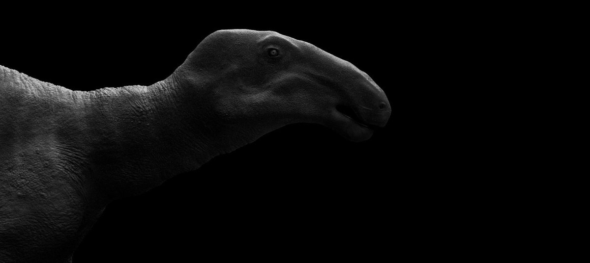 Josh Johnson Vfxdaily さんのイラスト マンガ作品まとめ 1 件 Twoucan