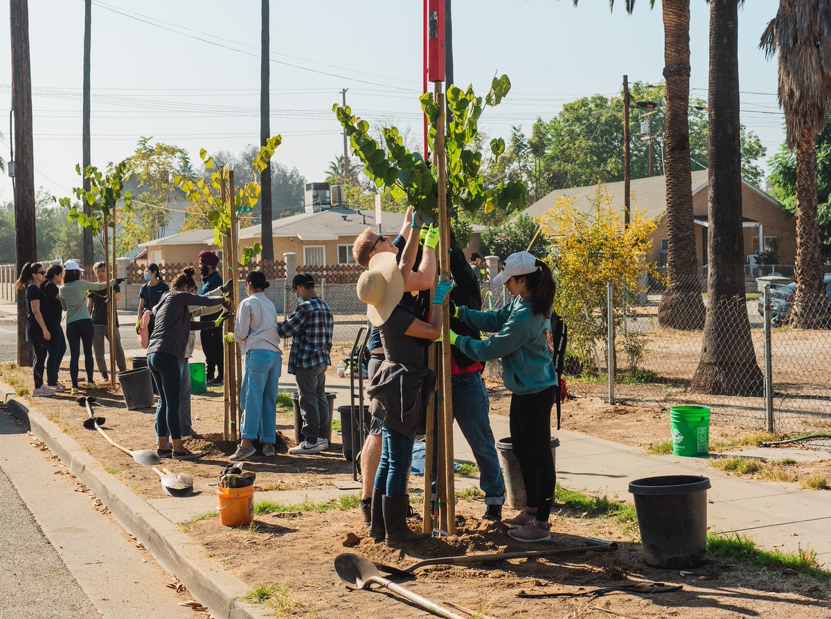 Governor Gavin Newsom tweet media
