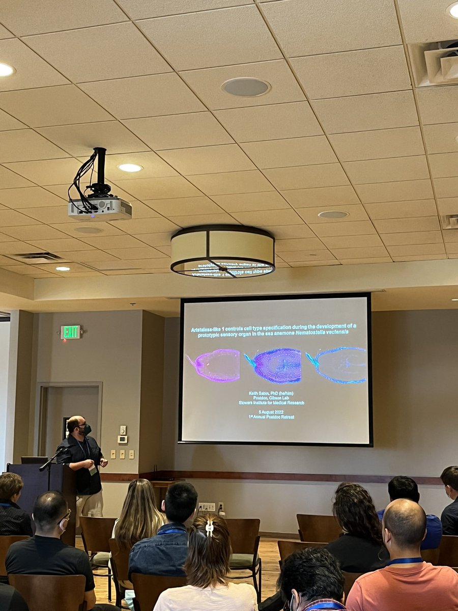 ScienceStowers's tweet photo. Keith Sabin, @Gibson_Lab, is interested in the diversity of sensory perceptions across organisms. His #research is focused on the apical sensory organ of the sea anemone, which consists of a tuft of cells at the top of the animal with long, hairlike cilia. #postdocretreat https://t.co/w4g8tpOPKE