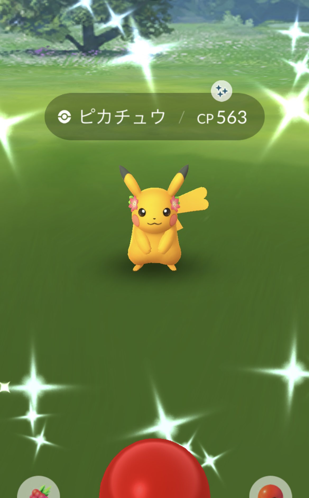 Yellow45kansai 朝からピカチュウ色違い 今日はがんばるぞー ポケモンgo Pokemongofest22sapporo T Co Dxbjgcghxa Twitter