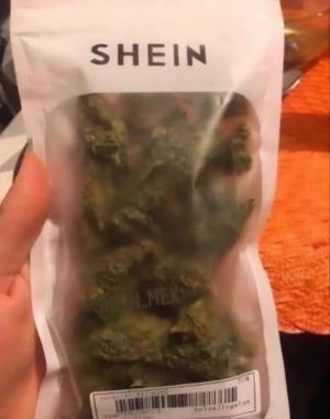SPACECANNABIS's tweet photo. essa shein vende tudo mesmo https://t.co/KyrHrvaYHU