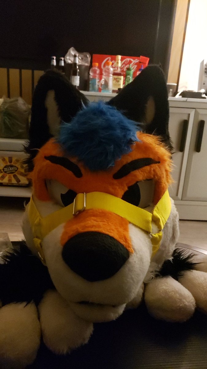 RusanHuskyAD's tweet photo. Happy megaplex https://t.co/5hglutVBSE