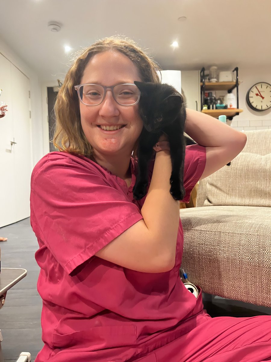 introturt's tweet photo. The first homeless baby I've helped rescue from the streets. He's in a good foster home at the moment and I'm going to make sure he's got everything he needs. https://t.co/obZIYHYOf1