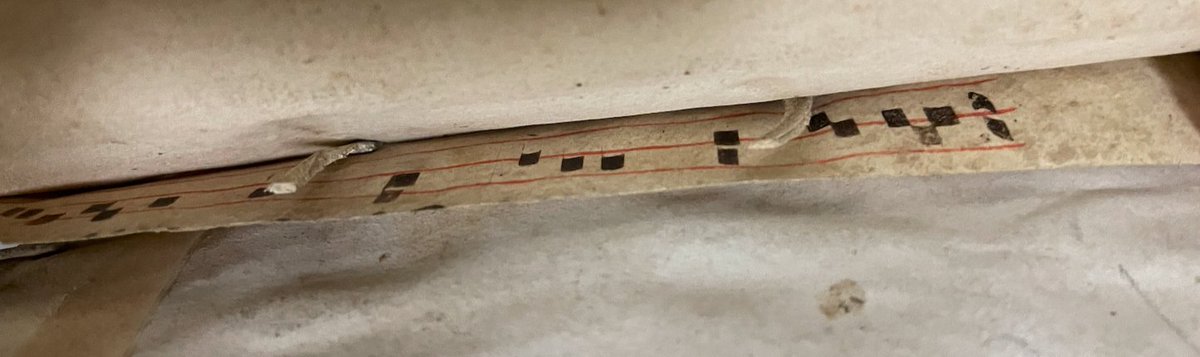 One for #FragmentFriday - a binding fragment tucked into a 1566 Plantin Lucretius (searchworks.stanford.edu/view/10094208)