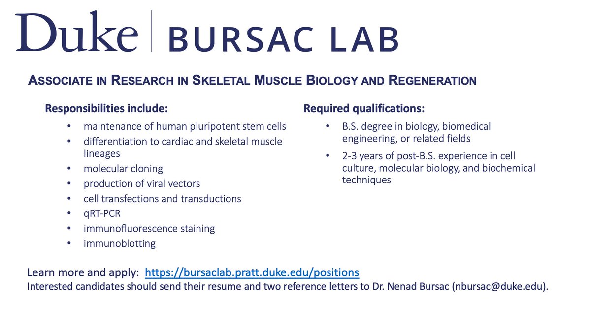 Bursac Lab tweet media