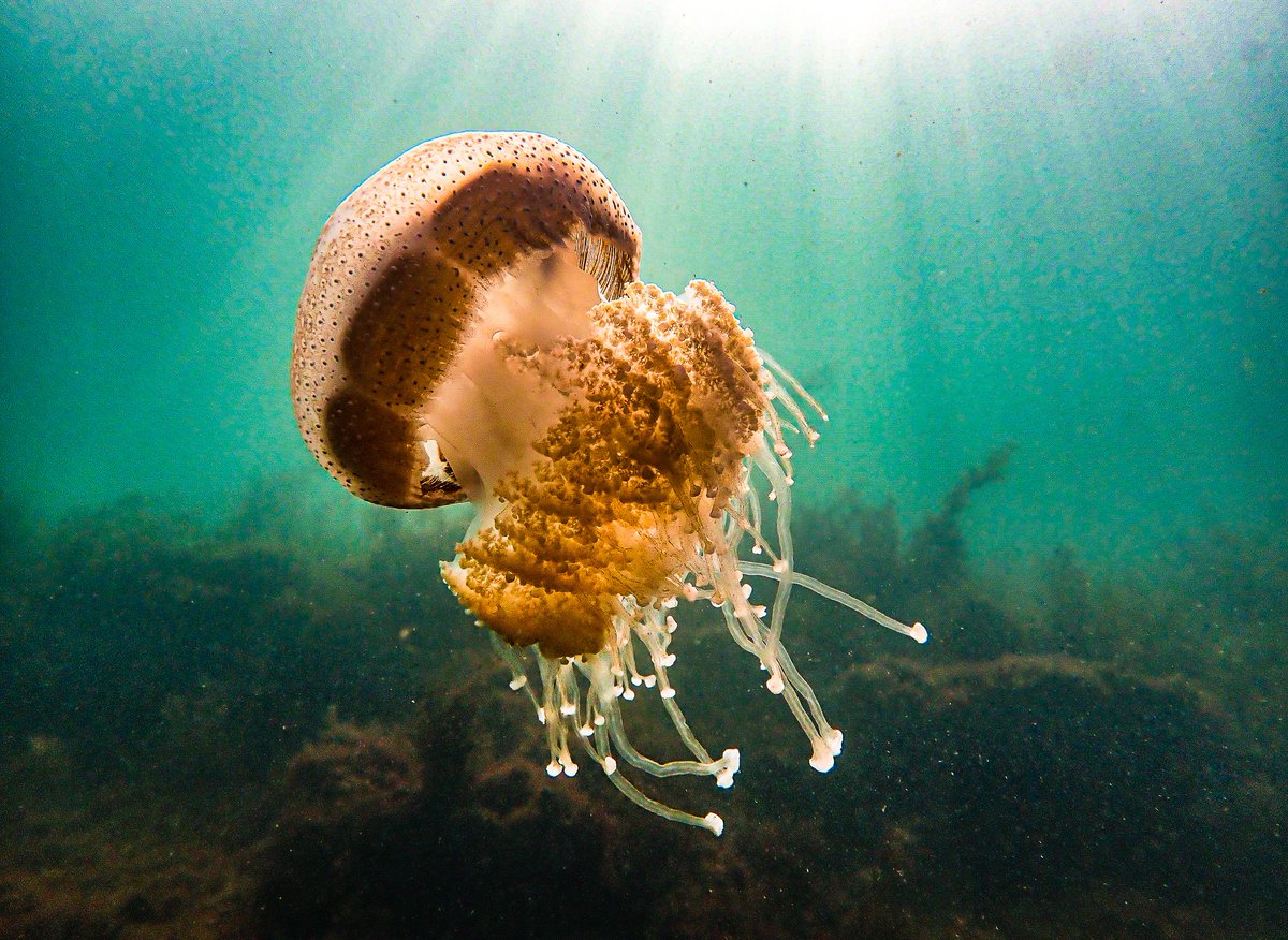 God'sFavouriteAtheist. tweet media