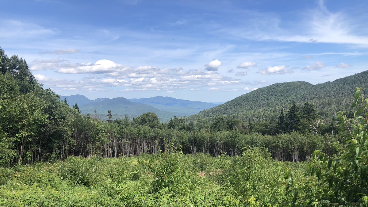 Looking back on a grand Organic Geochemistry GRC <a href="/GordonConf/">Gordon Research Conferences</a> ! Fantastic science and scenery 😎