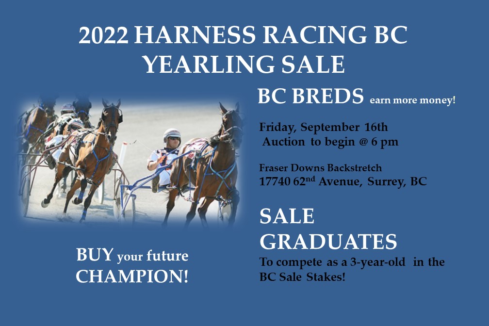 Harness Racing BC tweet media