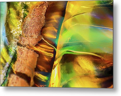 findthebestart's tweet photo. Natures Beauty... BRING IT HOME: https://t.co/M1yz2I9kIO
#naturesbeauty #organic #neutralcolors #brownandgreen #brownart #texturedart #buyintoart #artforsale #contemporarydesign #handblownglass #macrophotography #artworkforsale #art #macroart #modernart #glassphotography #yellow https://t.co/d8OPQfMqV1