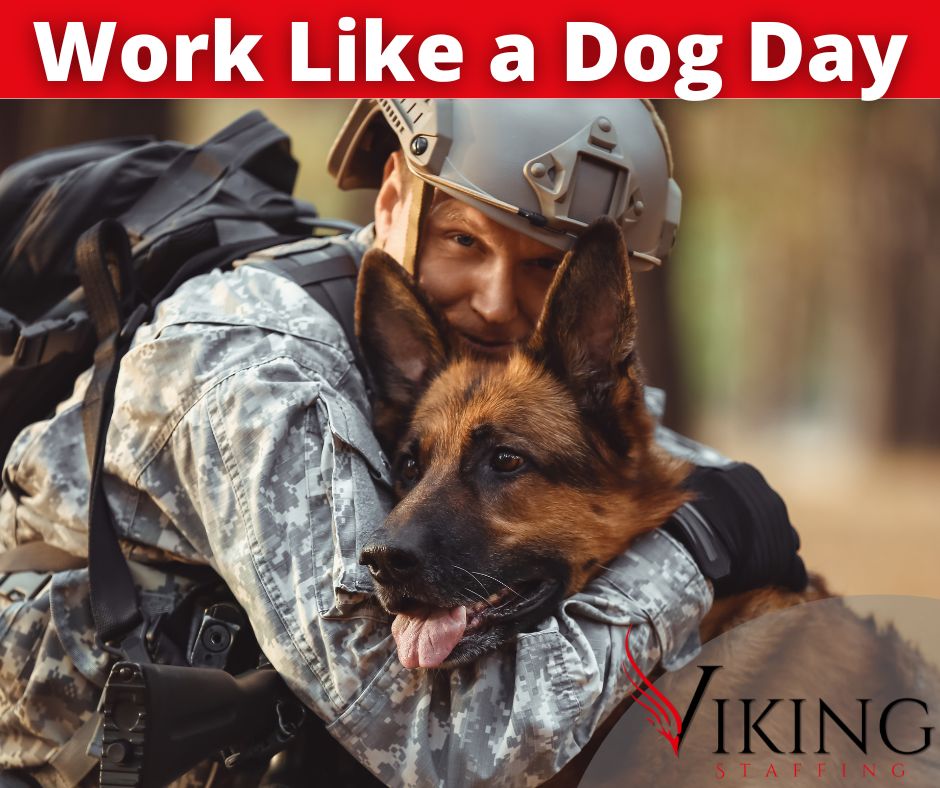 StaffingViking's tweet photo. Work Like a Dog Day,this quirky day is inspired by dogs working nature. Simply means going the extra mile and working extremely hard for your goals. 

Viking Staffing is hiring today! See our jobs here👉: https://t.co/KQMOOXA3H4

#hiring #jobs #nowhiring #staffing #vikingstaffing https://t.co/V3WX0T9SIj