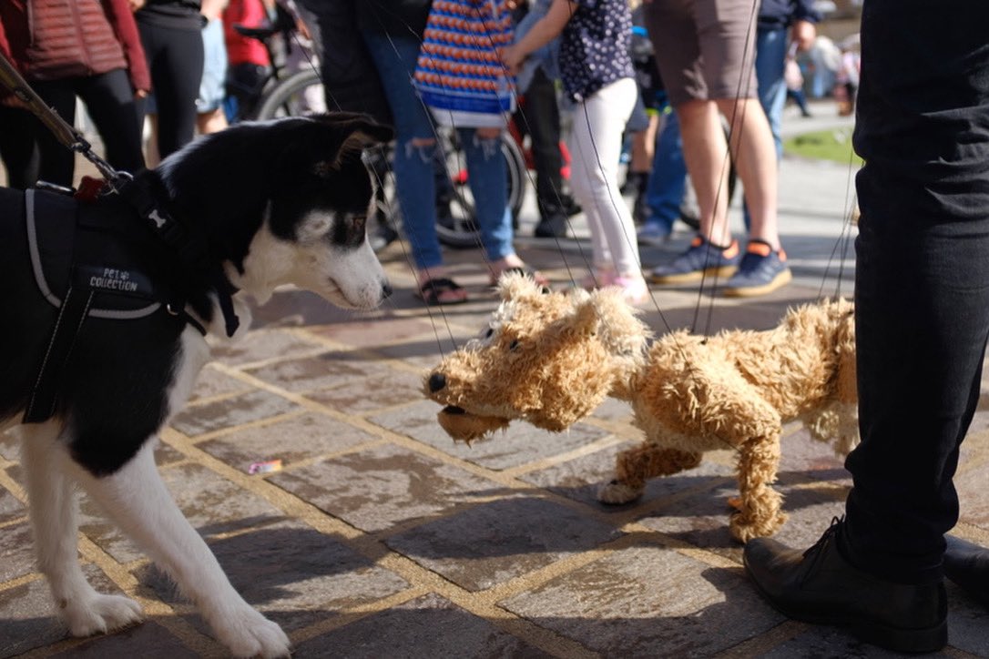sallylockey's tweet image. What an amazing event @SIRF_Stockton is. Love the on-going ambition @stocktoncouncil have for the town too. Really looking forwards to seeing its redevelopment and continued focus on culture. #lukaszpuczo #BurektheDog @AS_InvisibleMan    #GratteCiel #Tawa