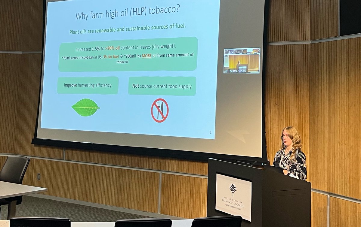 SonaPandey Lab (@sonapandeylab) on Twitter photo Courtney Harmon from <a href="/StChasCC/">St. Charles Community College</a> explains the water regulation characters of the high oil tobacco plant. Mentored by @KatieMurphyPhD, Allen lab <a href="/DanforthCenter/">Danforth Center</a> <a href="/NSF/">U.S. National Science Foundation</a> Courtney Harmon from <a href="/StChasCC/">St. Charles Community College</a> explains the water regulation characters of the high oil tobacco plant. Mentored by @KatieMurphyPhD, Allen lab <a href="/DanforthCenter/">Danforth Center</a> <a href="/NSF/">U.S. National Science Foundation</a>