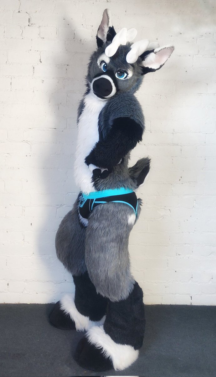 ππ
π
Έπ (@svixy) on Twitter photo What's this about undies? π
#NationalUnderwearDay π©²
#FursuitFriday π What's this about undies? π
#NationalUnderwearDay π©²
#FursuitFriday π