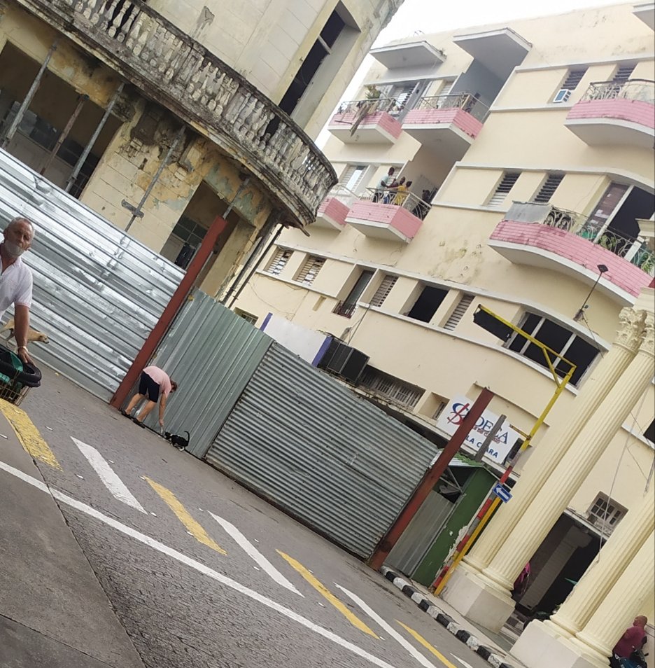 Azpicuba's tweet image. Te amo señora que alimenta animalitos en el parque Vidal 🥺🥺🥺🥰🥰🥰