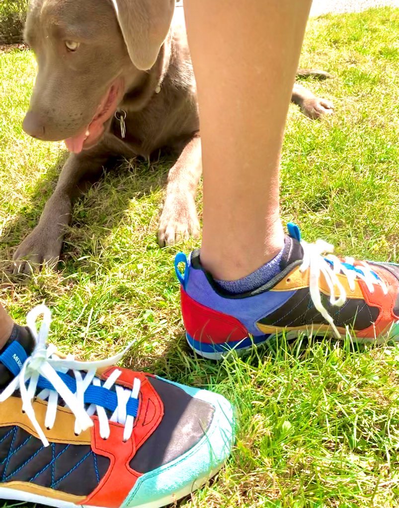 xtnaboyd's tweet photo. My new MERRELLs (Alpine Sneaker) have arrived! And Zelda aka Beastie and I are ready to hit the trails here in the PNW. Aren’t they the cutest? #sameisBoring #GoOutside #pacificnorthwest #MtBakerWilderness https://t.co/imkEA6WvQU