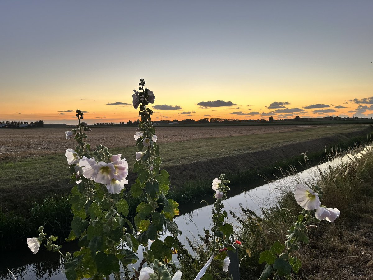 Nog even een blokje om gedaan vanavond.
#zevenhoven #zonsondergang