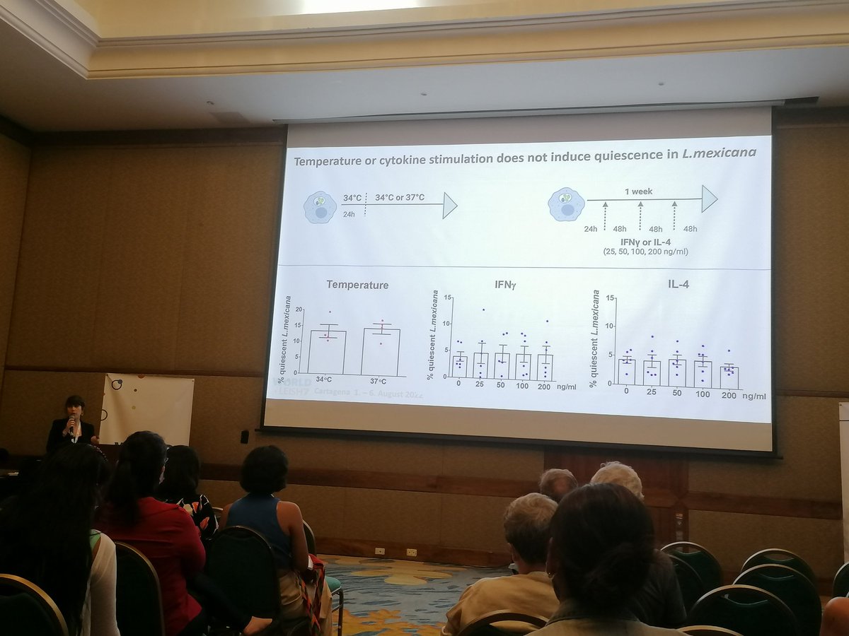 Jara_M's tweet photo. @WLeish7  @VictoriaLBolton presenting her nice study about quiescence in L. mexicana. Mannogen may be a positive marker for quiescent cells https://t.co/kACGG4gU0r