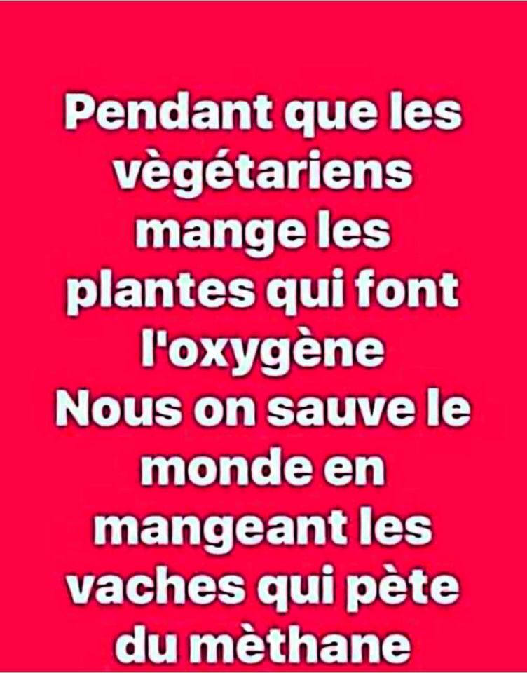 ComplotsFaciles's tweet image. A méditer ... #SauvonsLaPlanete #NousSachons