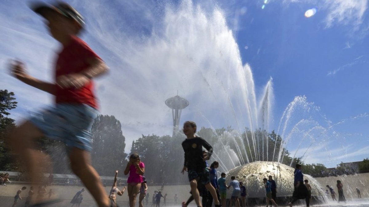 The Hill tweet media