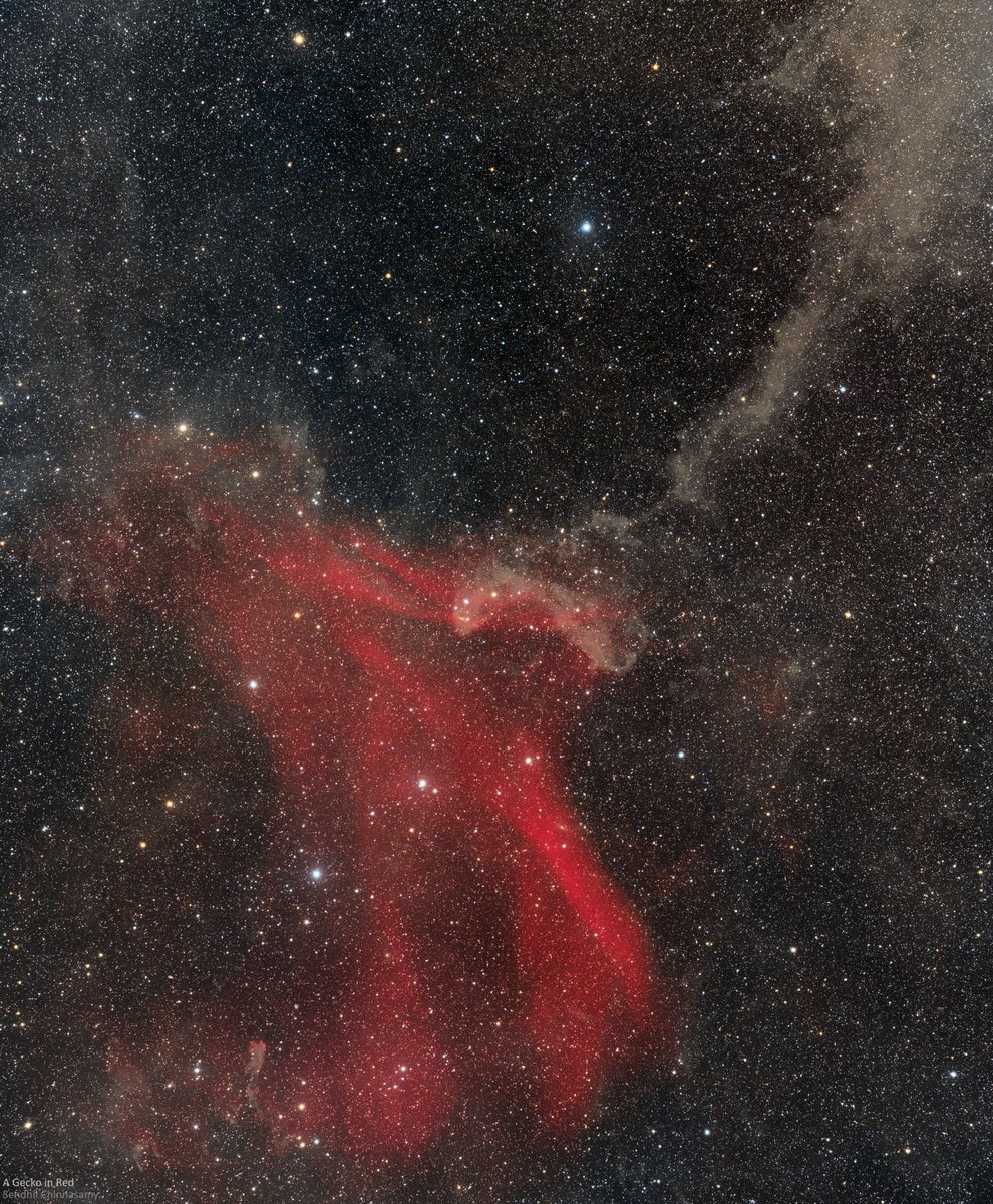 A Gecko in Red (Lacerta constellation)

2 panel mosaic

Total exposure: ~61h
L - ~35h
RGB - 15h
Ha - 10h

Takahashi FSQ106ED + F/3 0.6 Reducer + ESATTO 4" + Chroma LRGB and Ha filters + QHY600M + AP Mach1

<a href="/QHYCCD/">QHYCCD</a>