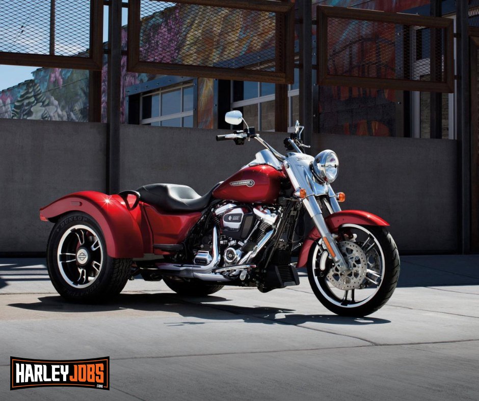Harleyjobs1's tweet photo. 🚴 #Harleyjobs is a #harleydavidson dedicated platform that provides you the ample opportunity to post Harley Davidson jobs and recruit. It will also allow you to search Harley Davidson Mechanic.
https://t.co/UQSzNgrvtS
#MotorGo #motorcycle #motorcycles #bikelife #bikers https://t.co/Fa8Qn3Cp3L