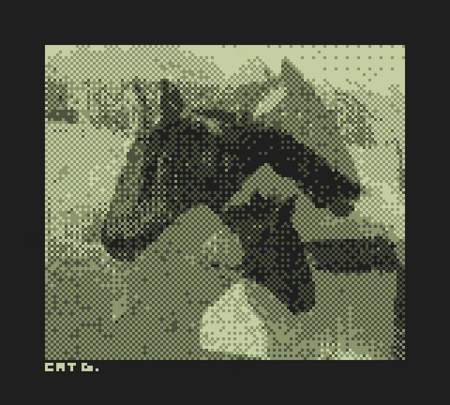 "horses 1 &amp; 2", taken on the Game Boy Camera 