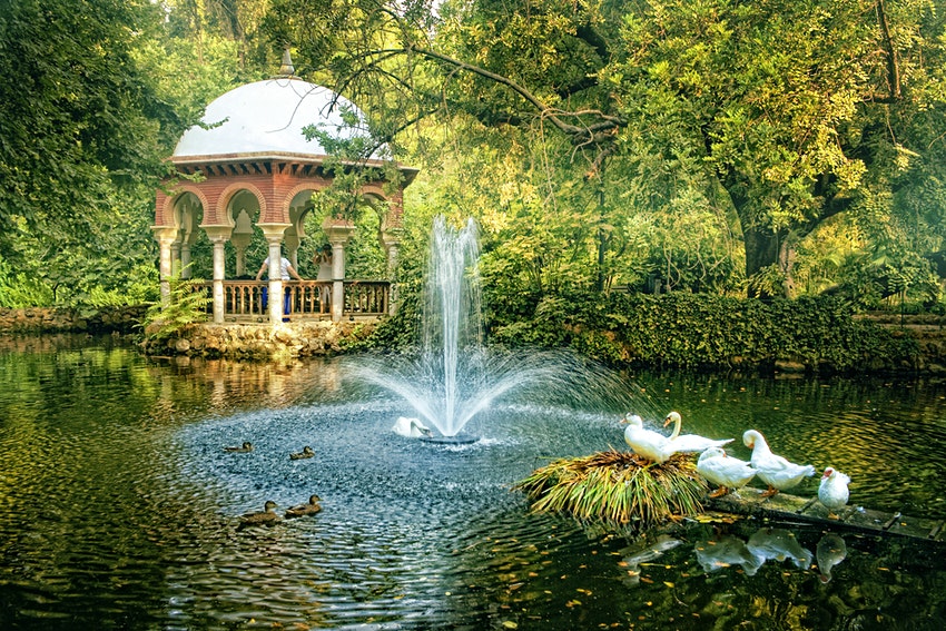 SalSRealtor's tweet photo. Find a calm and beautiful park to visit in Seville, #Spain, with help from this article. #travelmore  https://t.co/a1MON0nT91 https://t.co/b7Xk1muvTG