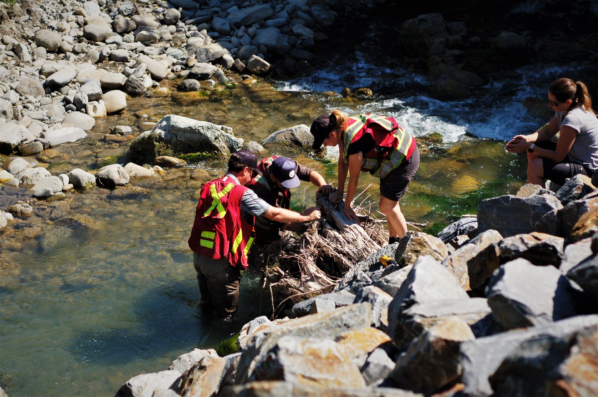 LivingLakesCA's tweet photo. Last week @ElkRiverBC and MacHydro installed a Hydrometric monitoring station in the Elk River Valley, part of an expanded monitoring network we're busy installing in the BC Columbia Basin that will help track climate impacts on freshwater supply.  @HealthyWatersBC @TheTrustInfo https://t.co/QublVWqgqR