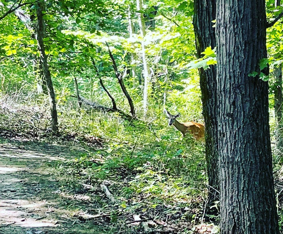 To quote Ronald Weasley, “I hate spiders.” #UpperLedges are clear. <a href="/gmbntweet/">Global MTB Network</a> #mtb