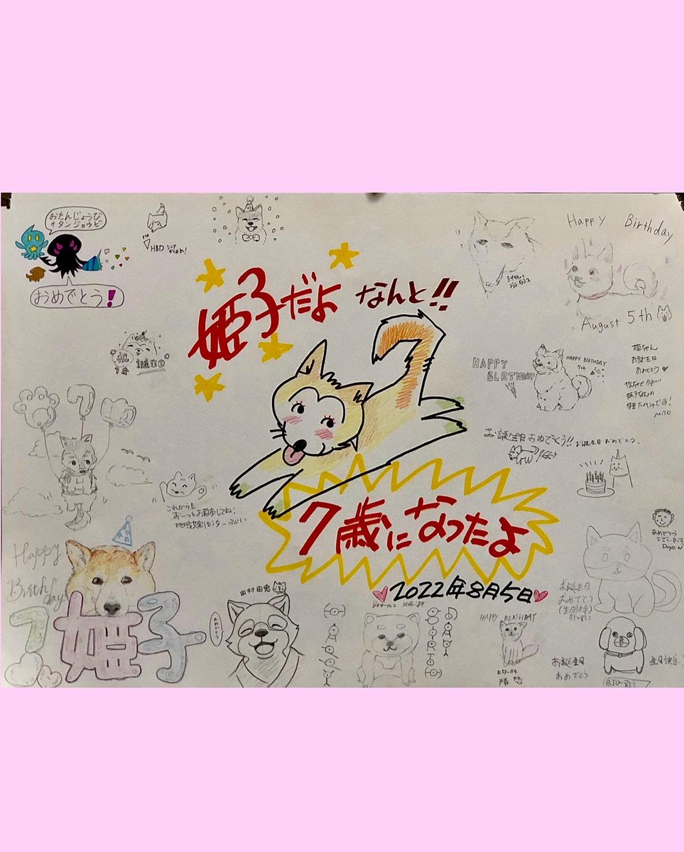 kazechin's tweet photo. 姫子の部屋
姫子だよ🎂7歳になったよ💐
シニアの仲間入りだけど✌️パパの大学の生徒さんたちや🧑🏻‍🎓教職員さんたちから✏️寄せ書きもらったから💕まだまだ頑張るよ🎶✨
#お誕生日おめでとう
#happybirthday
#7歳#シニア犬
#寄せ書き#ありがとう
#周南公立大学
#知財開発コース https://t.co/b90TqQkMKr