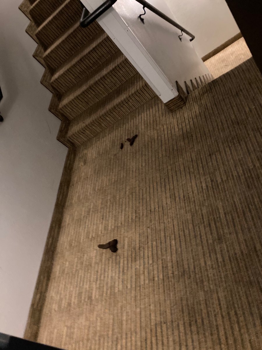 Amarkoff1984's tweet photo. @motel6 is human excrement in the hallway and employee who wouldn’t clean it up for over an hour because, and I quote, “$17.00 an hour isn’t enough to deal with that” part of your “leave the lights on for you” promise?  If I hadn’t been leaving today, I would’ve been leaving. https://t.co/rPFh0z10Jd