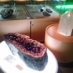 ツイートに含まれる画像