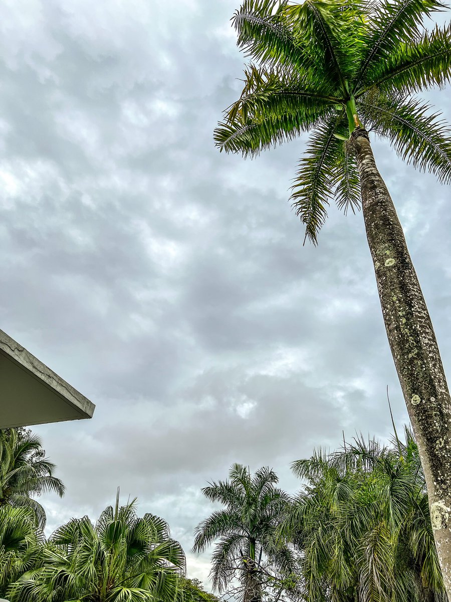 EdwinNurdjajadi's tweet photo. Going back to #Kuching this morning. Gonna miss the overcast but lovely #Weathercloud in #Bintulu #SaturdayMotivation #Sarawak @aaygx @SimpletonED @arifsetia2013d @ToKalimantan @MuslimFateh https://t.co/Y6bwdiJWJC