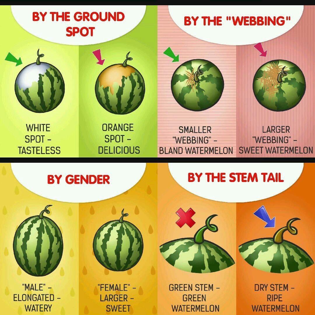 JohnNosta's tweet photo. Do you love #watermelon? https://t.co/DZVZwqObKB